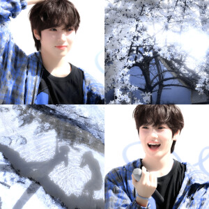 我不行了谁知道这个站子…(*꒦ິ⌓꒦ີ)