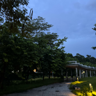 壁纸