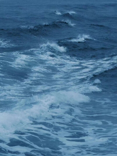 海