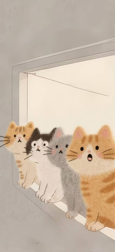 猫猫:让我看看