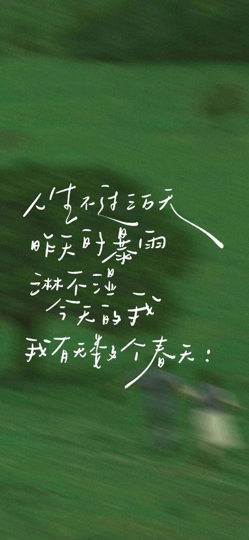 海