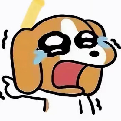 邪恶比格
