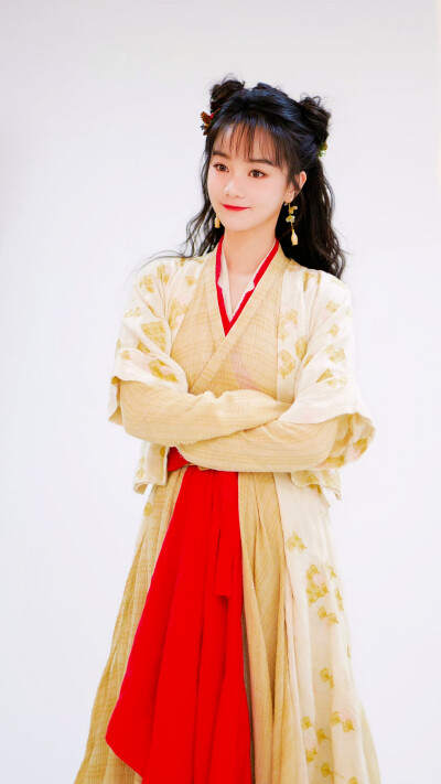 落花时节又逢君