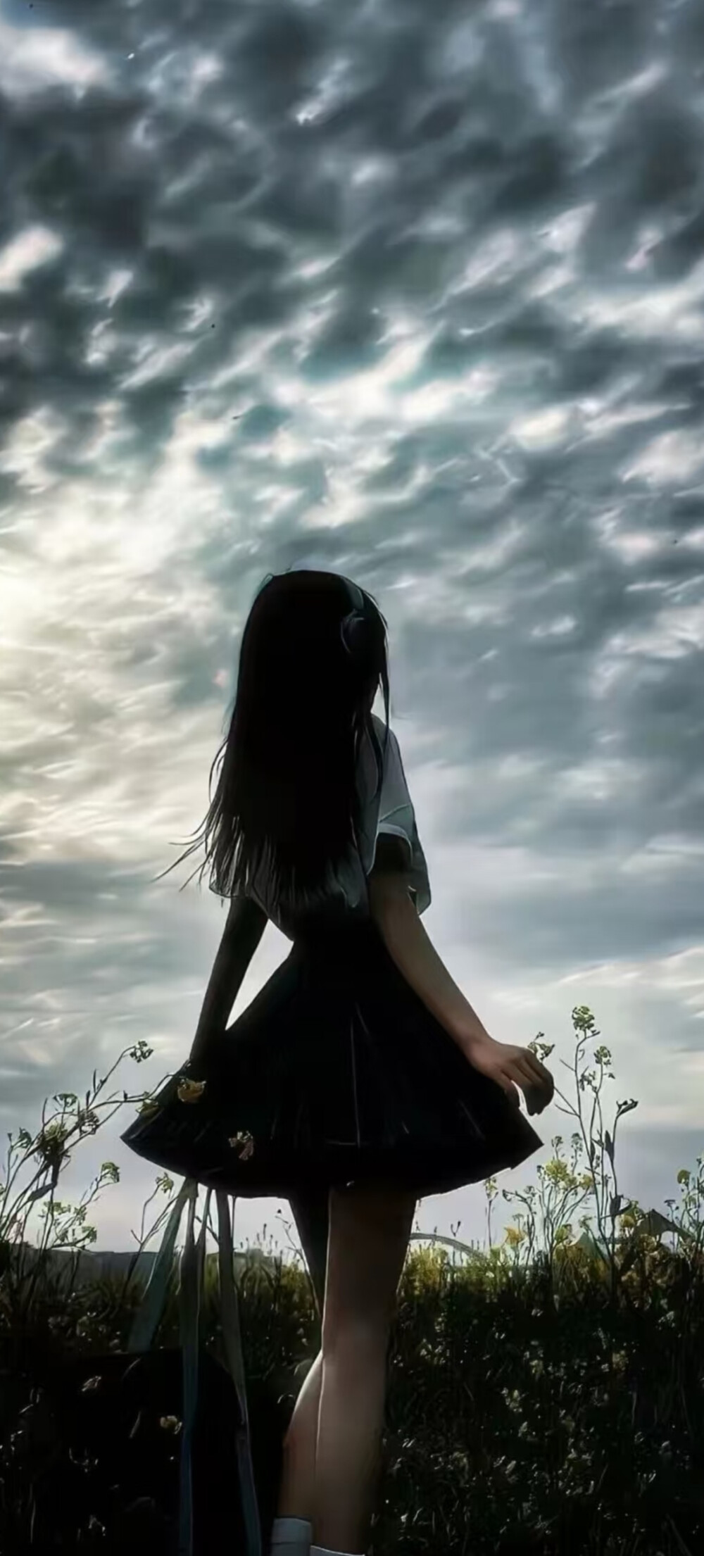 全屏壁纸