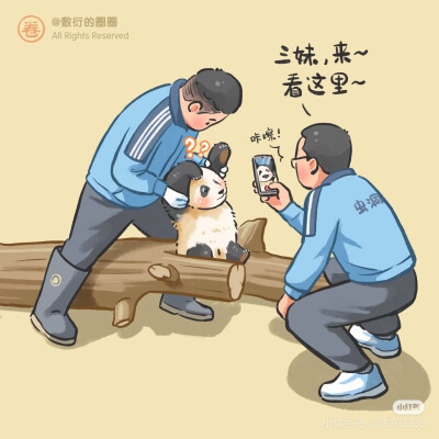 熊猫