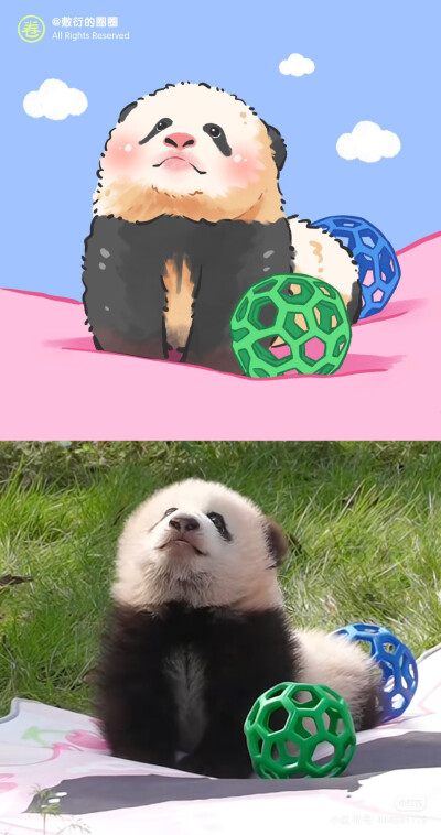 熊猫