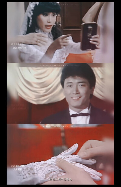 苗侨伟和杨盼盼《五虎将》