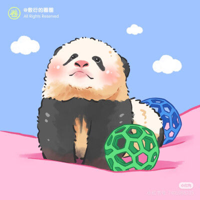 熊猫