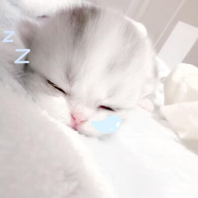 /