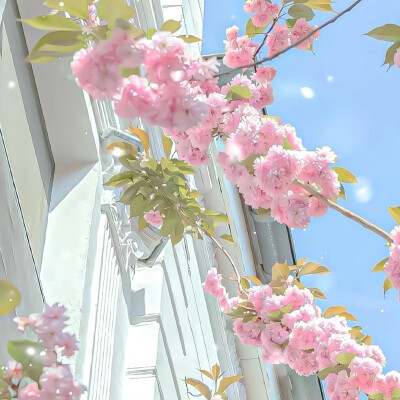 背景图