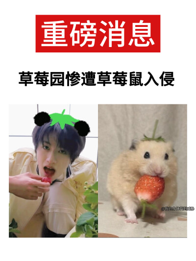 可以拨打抱紧电话
