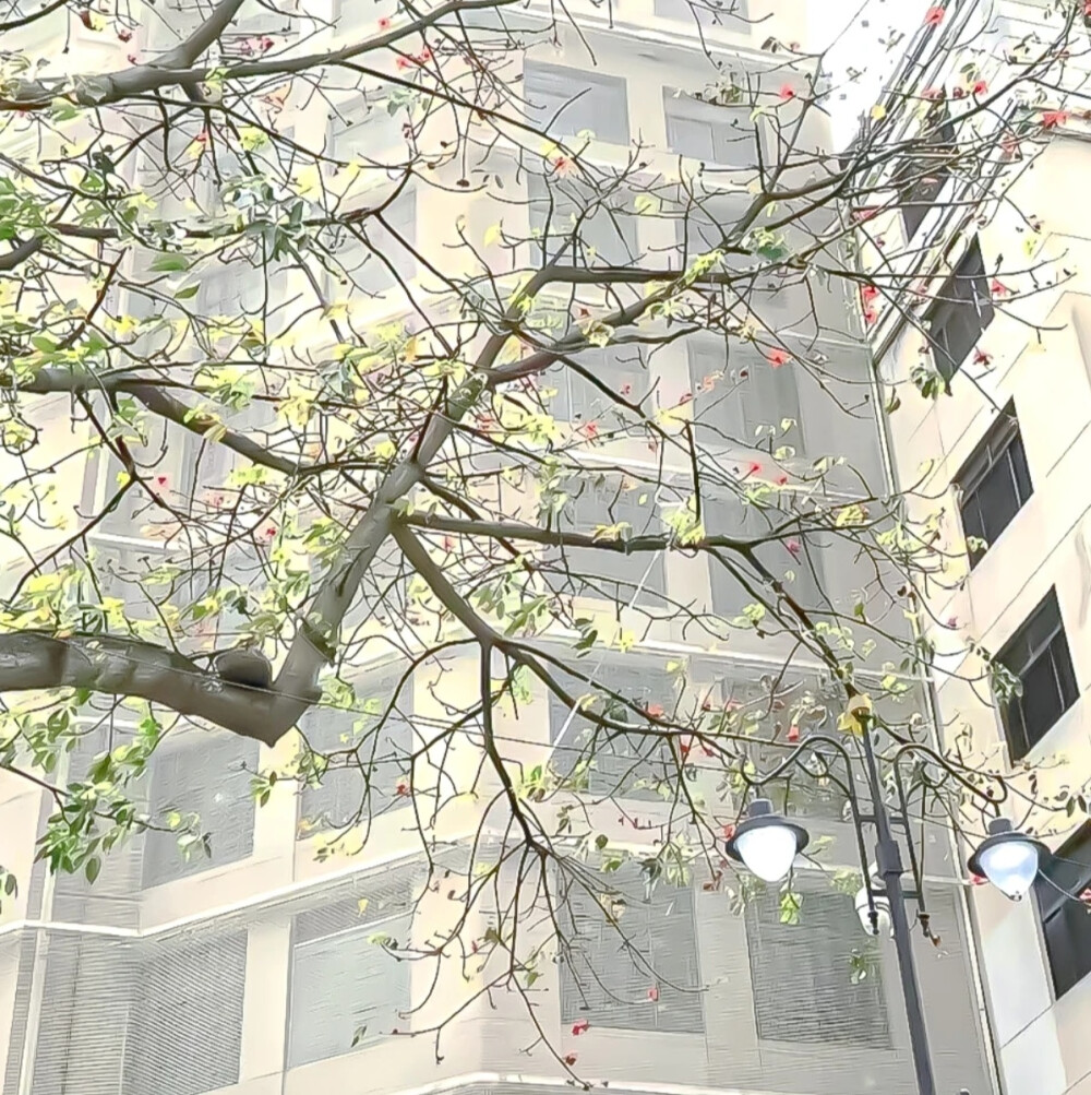 背景图