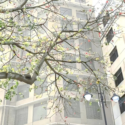 背景图