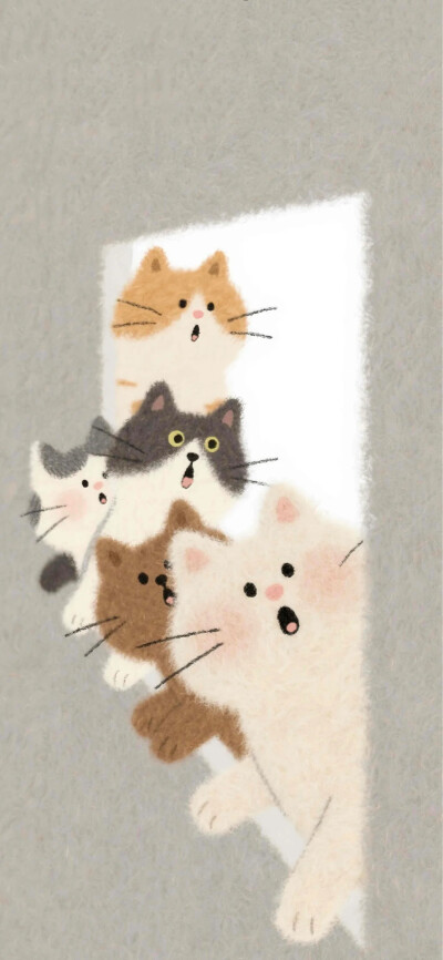 猫猫:让我看看