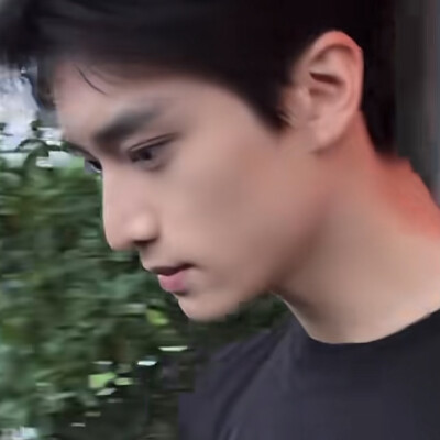 小树
