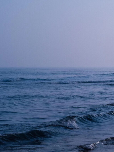 海