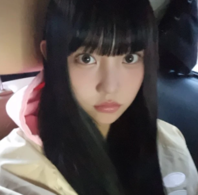 完全猫儿