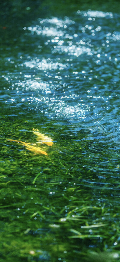 水