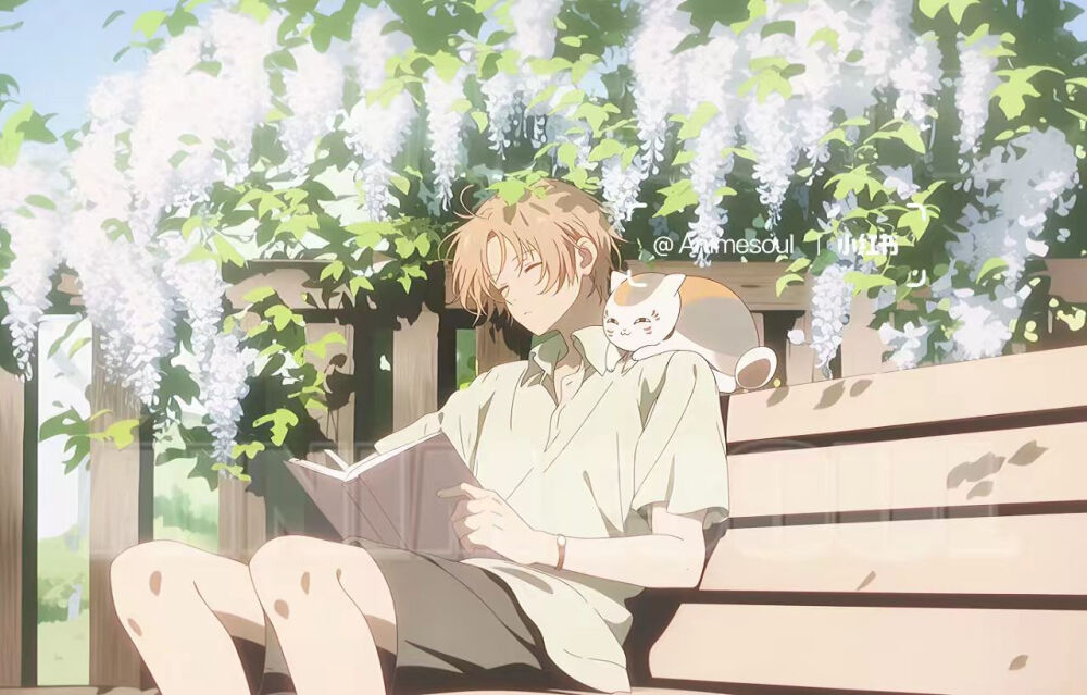 夏目友人帐
巴卫奈奈生