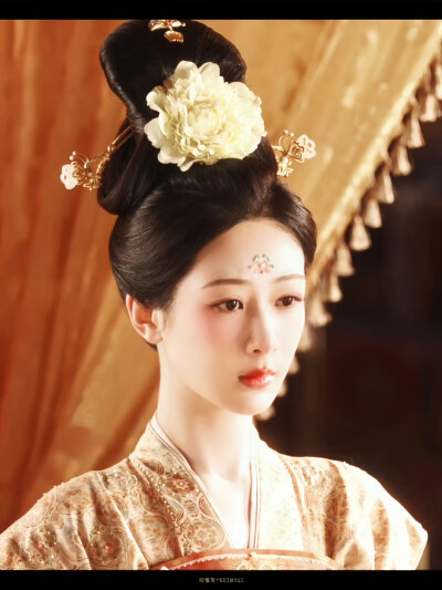 锦绣芳华–何惟芳 ​​​