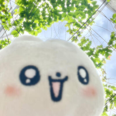 脆脆的蛋挞遇到了耐心的蛋糕师
՞˶･֊･˶՞
