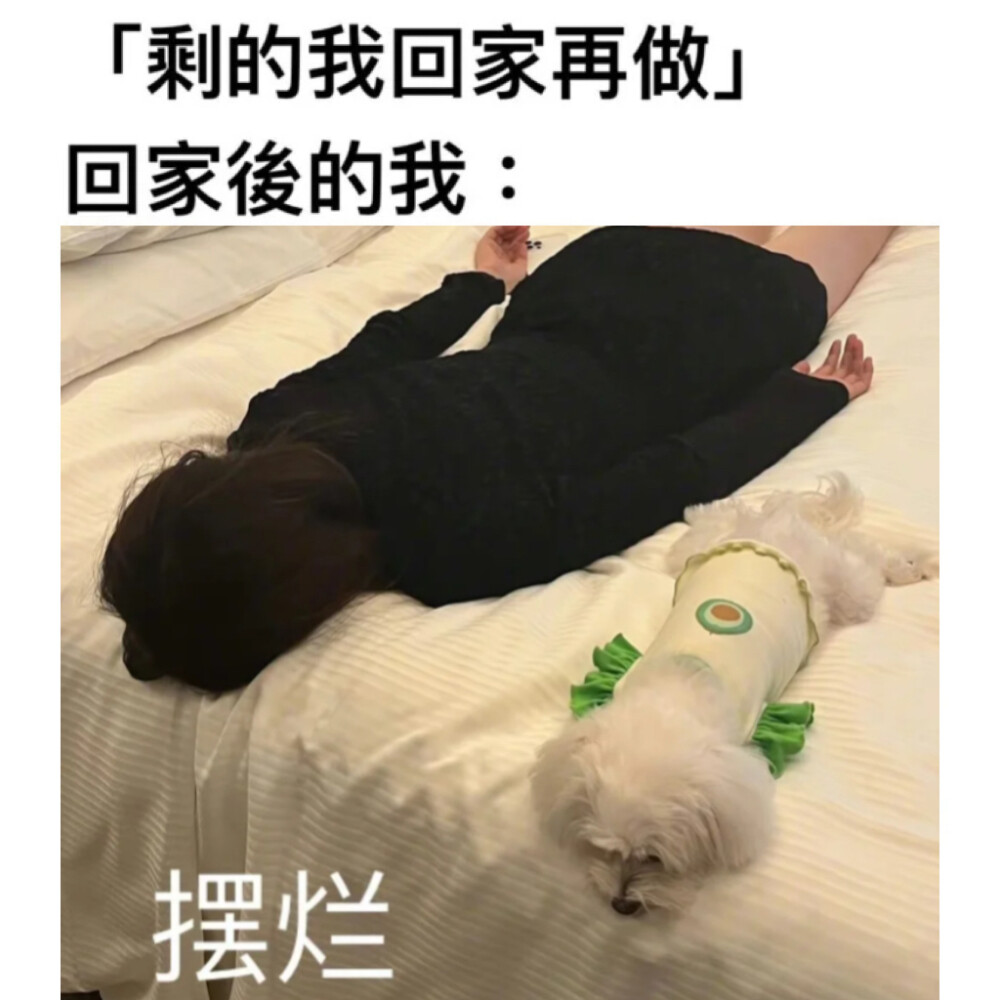 zzZ