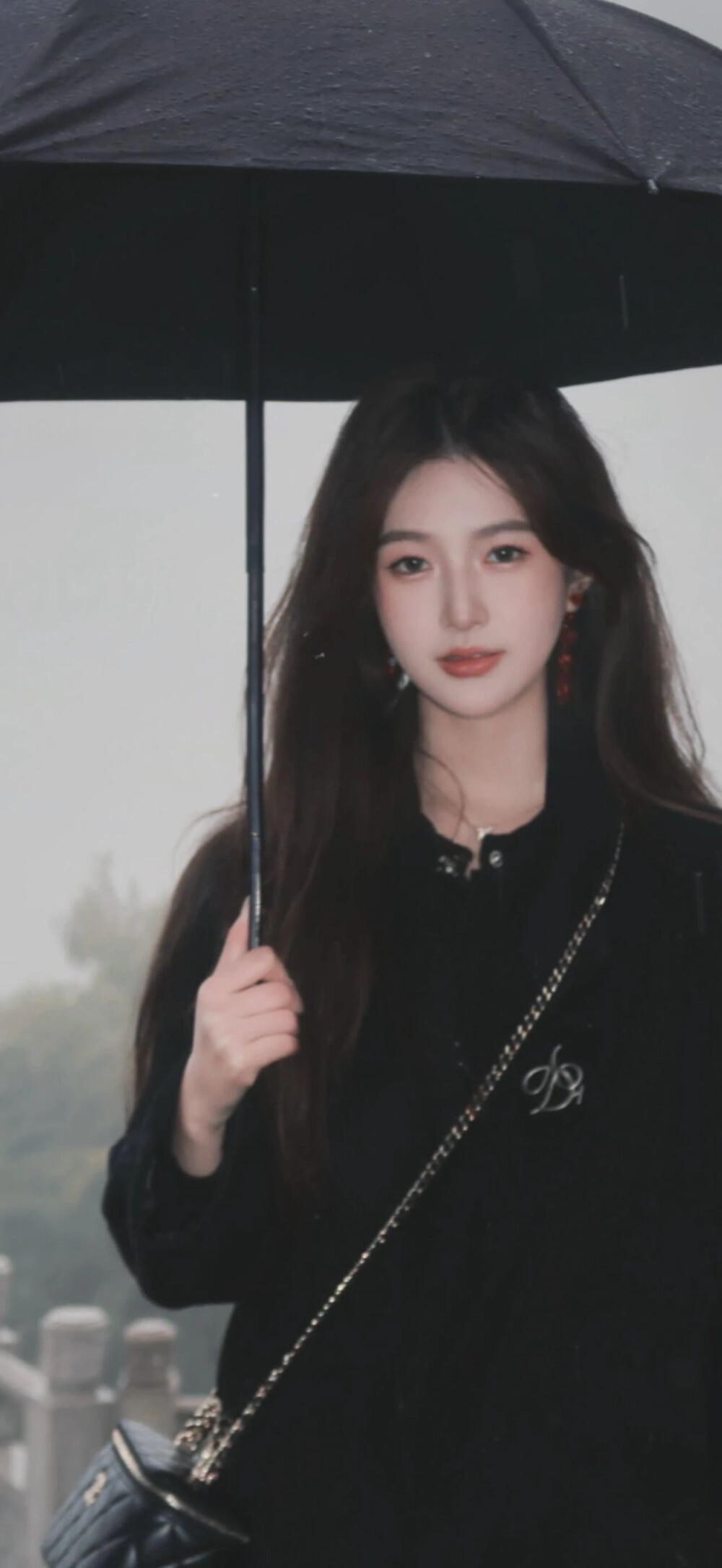 壁纸