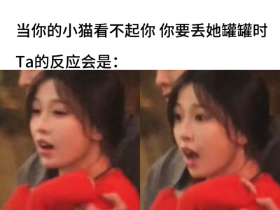 我问你！你对我的罐罐做了什么！！
