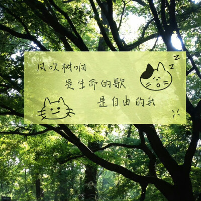 斑驳的现实 铁锈丛生