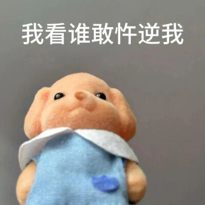 抽象表情包