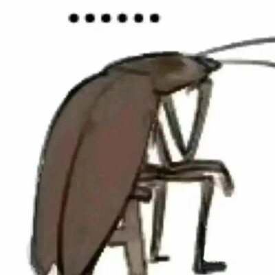抽象表情包