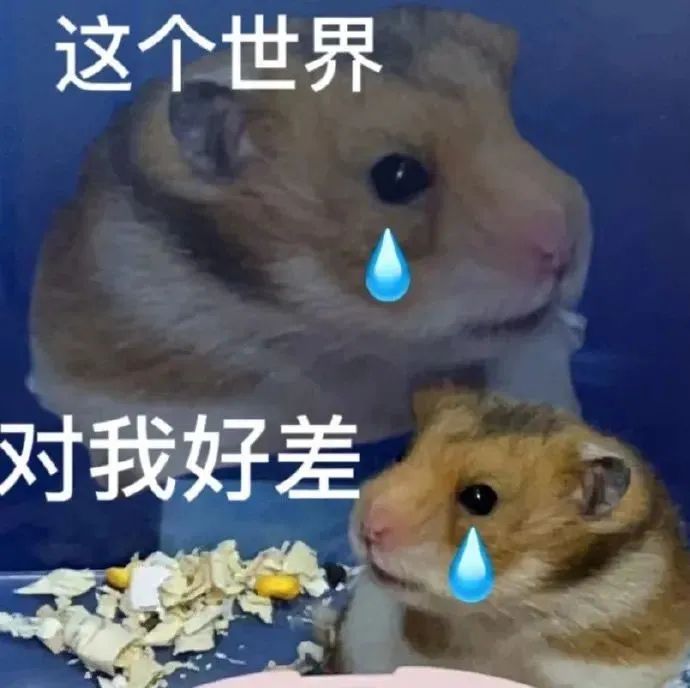 抽象表情包