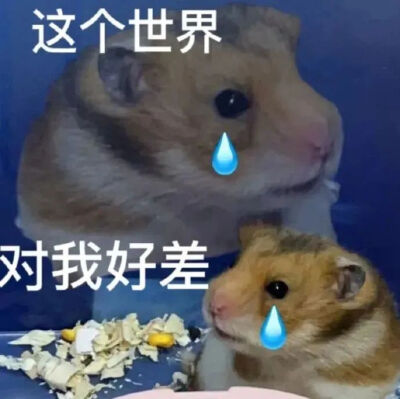 抽象表情包