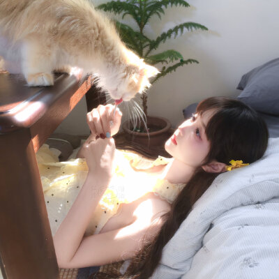 /