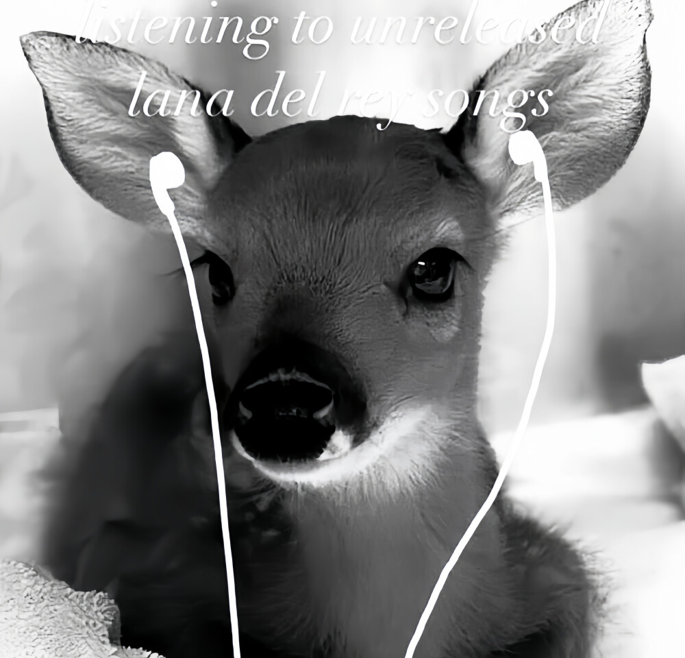 时衍宝宝送的小田 真的超级漂亮！好喜欢！