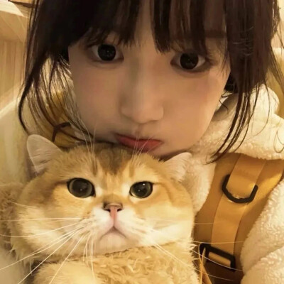 单人情头