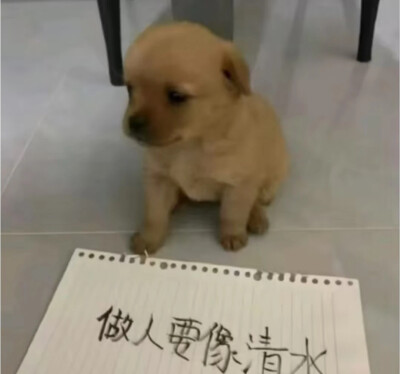 做人要像清水