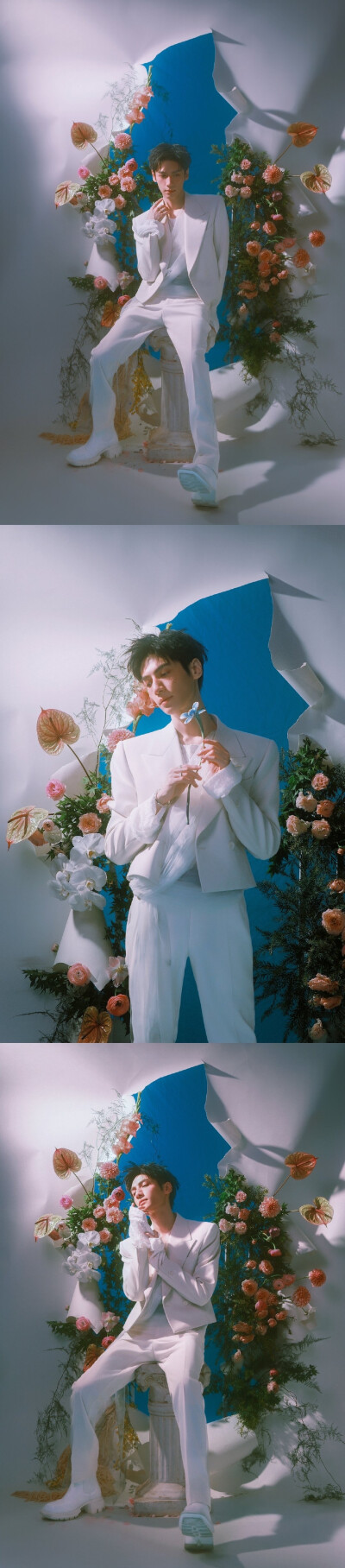罗云熙