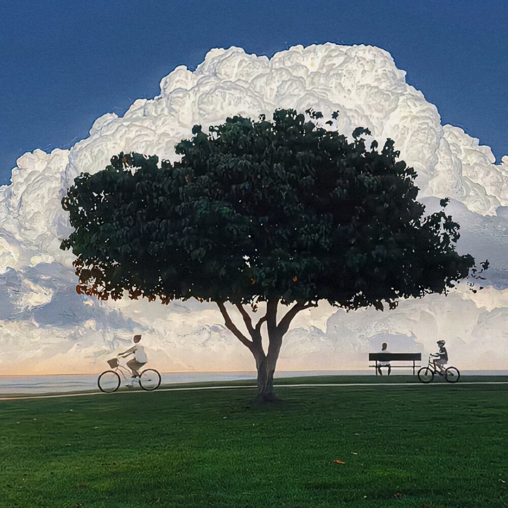 
不做木讷树 只做自由风