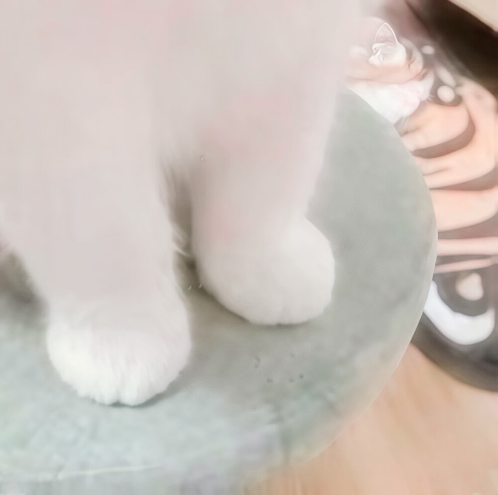 我知道你很难过