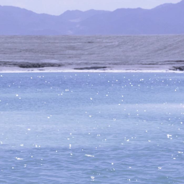 我不断漂泊，
因为我害怕一颗被囚禁的心
终于，我来到这一带长年积雨的森林。