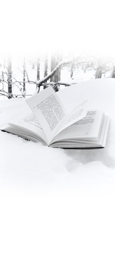 你是独属我左耳上的无名钉