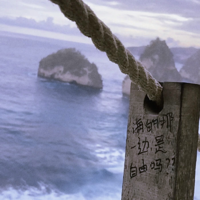 我不断漂泊，
因为我害怕一颗被囚禁的心
终于，我来到这一带长年积雨的森林。