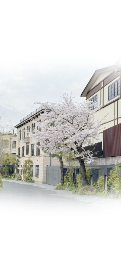 你是独属我左耳上的无名钉