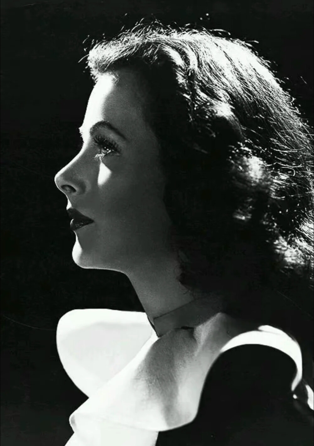 Hedy Lamarr
