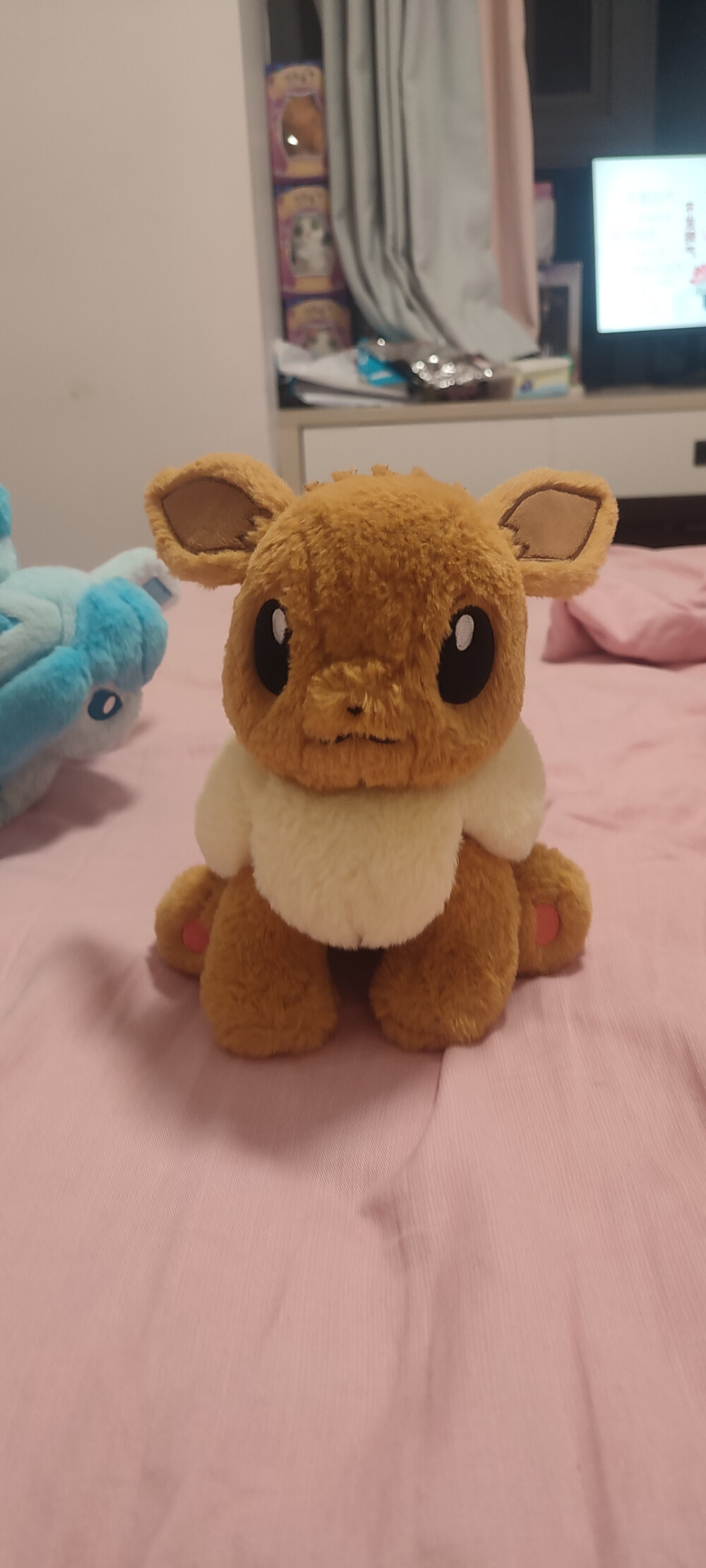 毛宝宝（Tomy的叶伊布和仙子伊布的劈叉M快出啊）