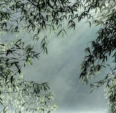  我的一生会有很多女主角
但你是人生中我唯一的男主角