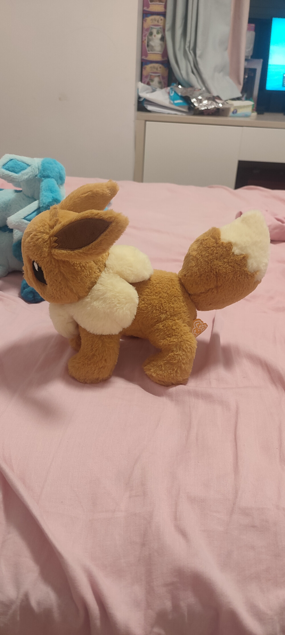 毛宝宝（Tomy的叶伊布和仙子伊布的劈叉M快出啊）