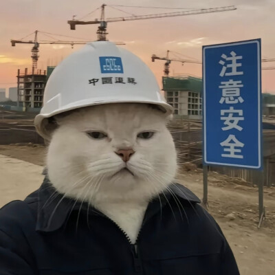 小猫同志 头像 苏维埃