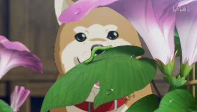 #强风吹拂